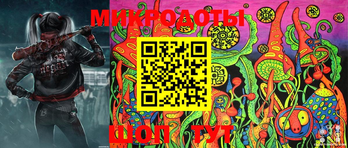 Псилоцибиновые грибы Psilocybe Вязники
